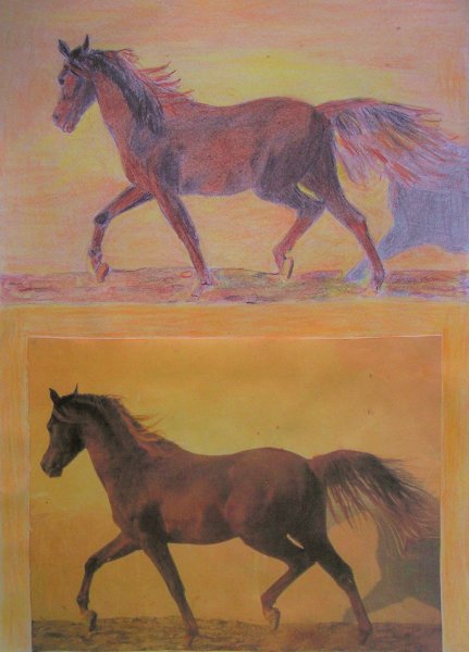 pict1929.jpg