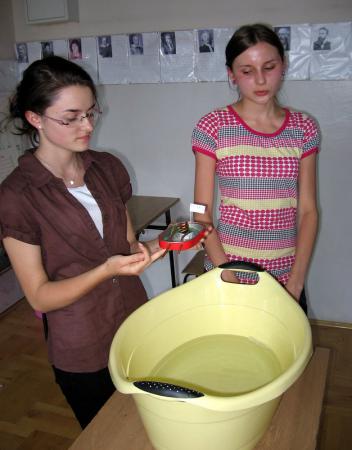 fen11_13.jpg