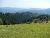 Kliknij, aby zobaczyć. p1070285_t1.jpg